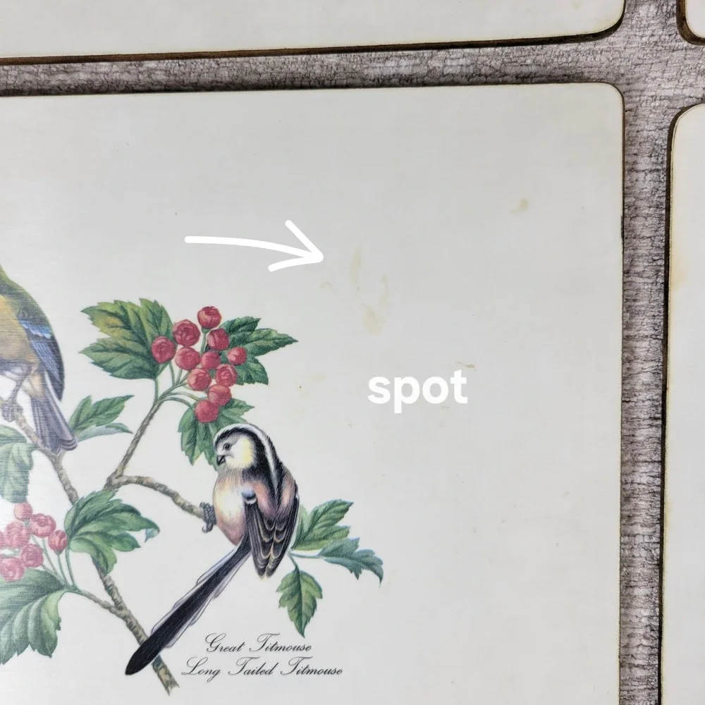 Vintage Lady Clare Luncheon Bird Placemats Felt Back Wood Cork England Set of 4